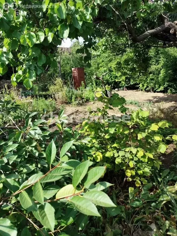 Участок в Севастополь, СНТ Сапун-гора (5.1 м) - Фото 2