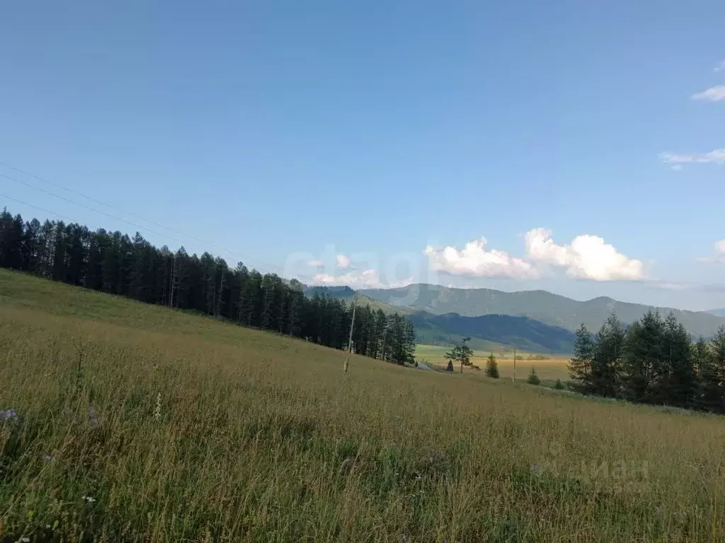 Участок в Алтай, Шебалинский район, с. Малая Черга  (10.0 сот.) - Фото 2