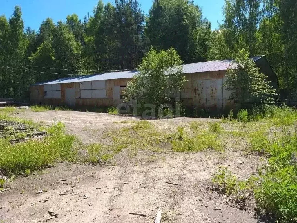 Склад в Костромская область, Кадый пгт ул. Гагарина, 49 (539 м) - Фото 1