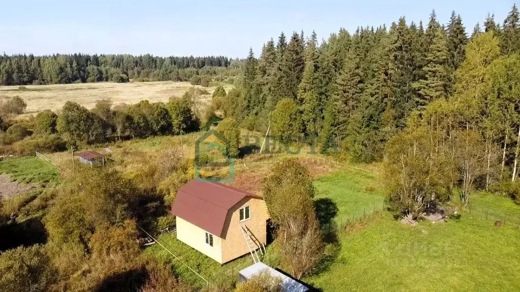 Участок в Ленинградская область, Выборгский район, Рощинское городское ... - Фото 1