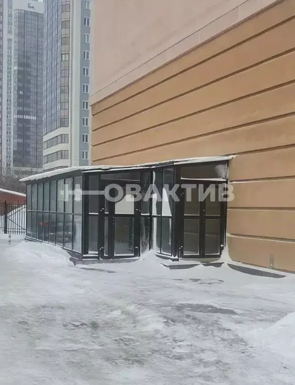 Помещение свободного назначения в Новосибирская область, Новосибирск ... - Фото 1