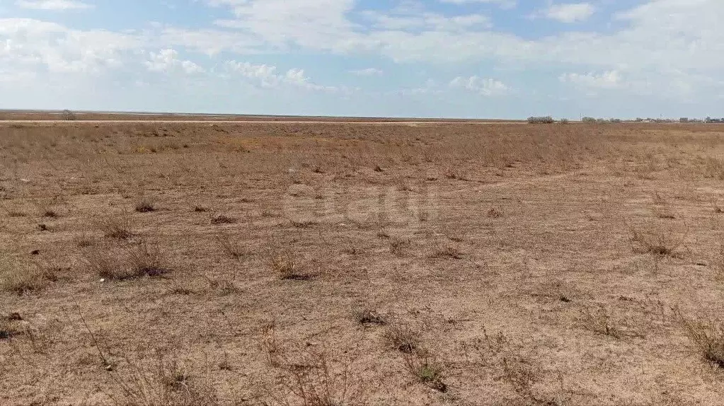 Участок в Крым, Ленинский район, Семисотское с/пос, с. Соляное ул. ... - Фото 1