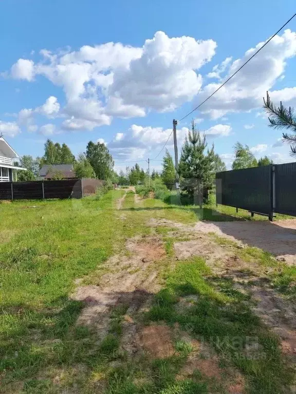 Участок в Ярославская область, Некрасовский муниципальный округ, с. ... - Фото 1
