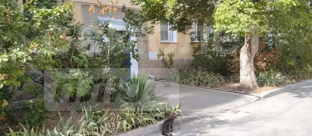 1-к кв. Севастополь просп. Октябрьской Революции, 35 (30.5 м) - Фото 1