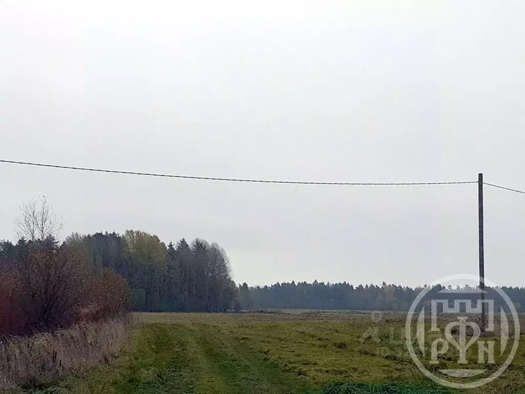 Участок в Ленинградская область, Выборгский район, Полянское с/пос, ... - Фото 1