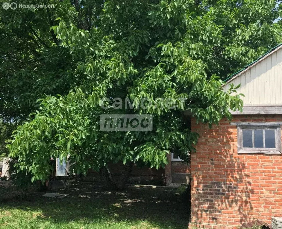 3-комнатная квартира: Алексеевская, улица Пискохи, 8 (69.1 м) - Фото 1