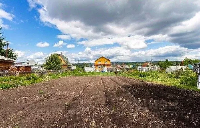 Участок в Саратовская область, Самойловский район, Святославское ... - Фото 0