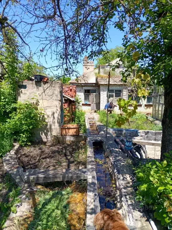 Участок в Ставропольский край, Ставрополь ул. Осипенко, 113 (6.8 сот.) - Фото 1