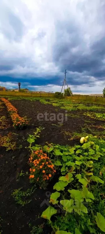 Участок в Башкортостан, Чишминский район, с. Енгалышево Школьная ул. ... - Фото 0