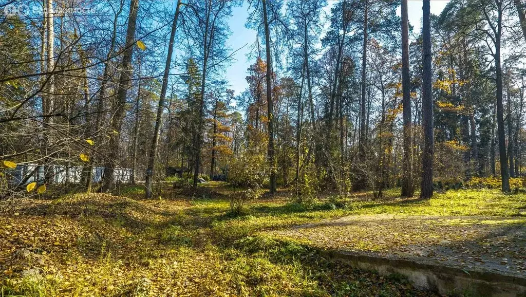 Участок в село Петрово-Дальнее, территория пансионат Петрово-Дальнее ... - Фото 1