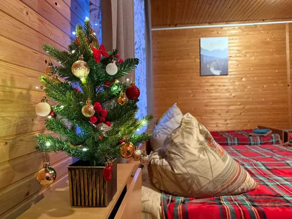 Комната Краснодарский край, Апшеронский район, пос. Мезмай Речная ул., ... - Фото 1