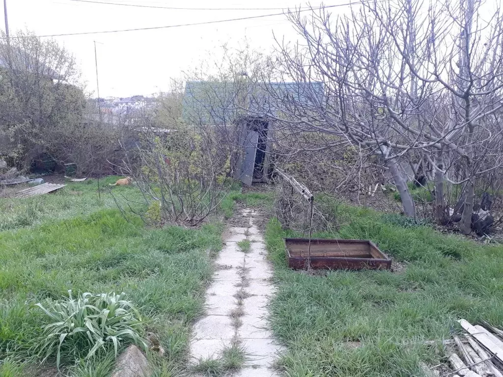Участок в Севастополь СНТ Зеленстрой ТСН,  (6.63 сот.) - Фото 1