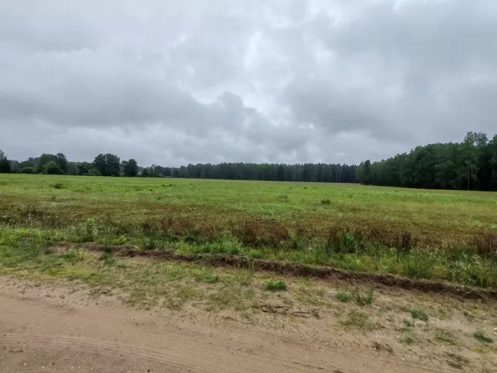 Участок в Московская область, Шатура муниципальный округ, д. Артемово  ... - Фото 1
