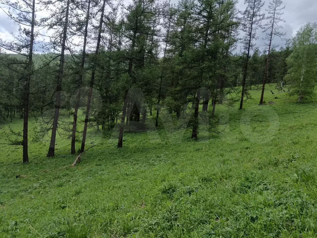 Участок 10 сот. (СНТ, ДНП) - Фото 0