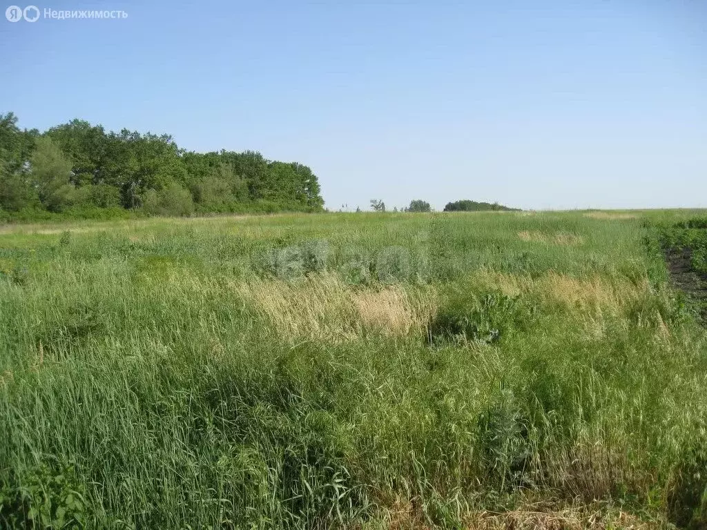 Участок в Хвощеватка, Солнечная улица (7.51 м) - Фото 1