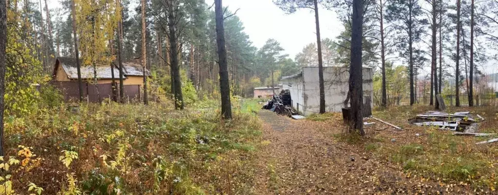 Участок в Кемеровская область, Кемеровский район, д. Журавлево  (30.0 ... - Фото 0