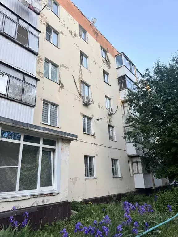 1-к кв. Мордовия, Саранск Московская ул., 119 (28.2 м) - Фото 1