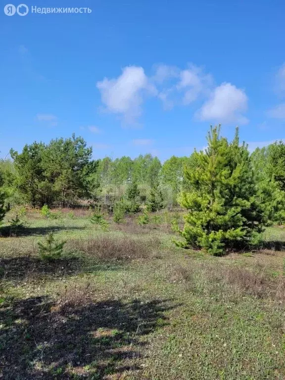 Участок в Волжский район, сельское поселение Рождествено, село ... - Фото 1