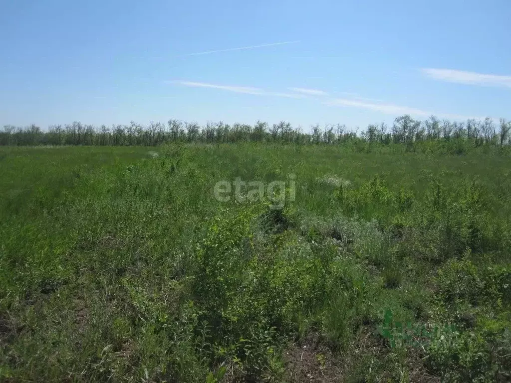 Участок в Крым, Сакский район, с. Штормовое ул. Мира (6.0 сот.) - Фото 0