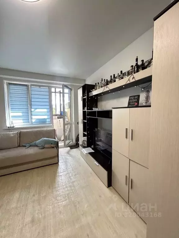 Студия Московская область, Богородский городской округ, с. Бисерово, ... - Фото 1