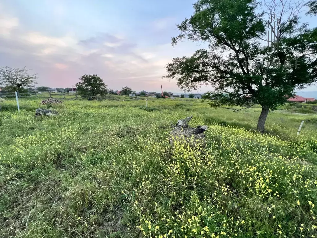 Участок в Чеченская республика, Грозный пос. Катаяма,  (6.0 сот.) - Фото 0