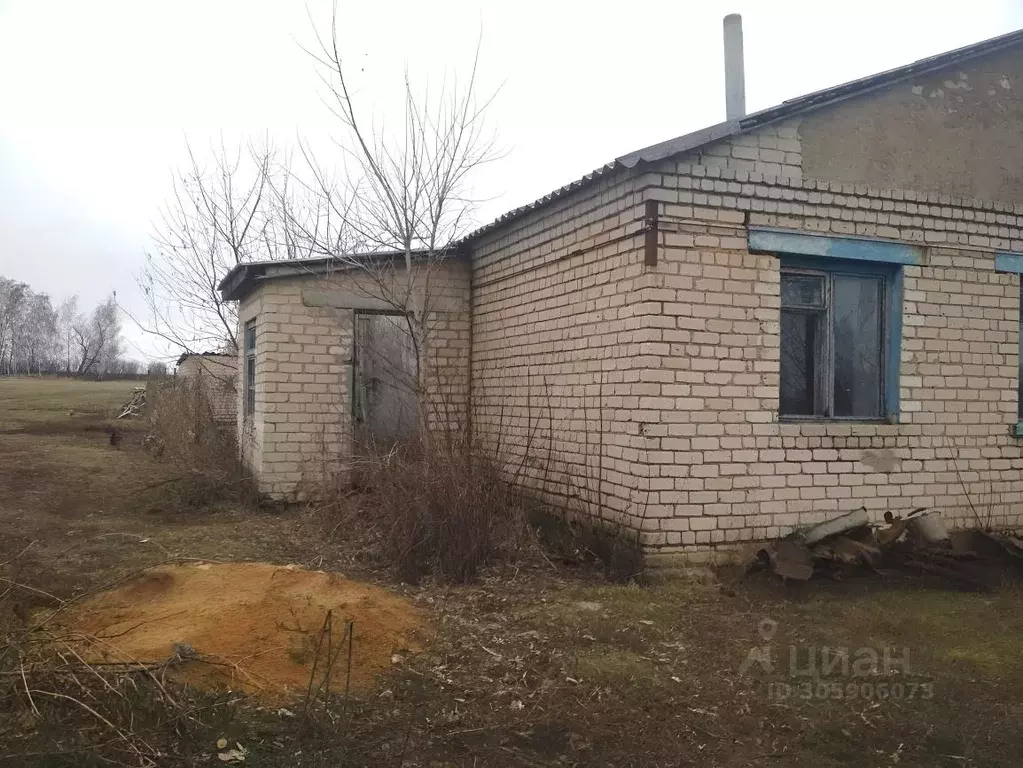 3-к кв. Липецкая область, Лев-Толстовский район, Домачевский ... - Фото 1