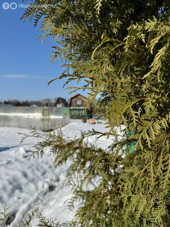 Дом в Завьяловский район, СНТ Октябрь (30 м) - Фото 1