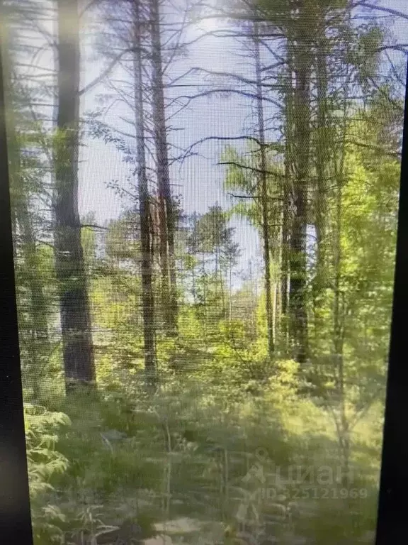 Участок в Красноярский край, Дивногорск городской округ, с. Овсянка ... - Фото 2