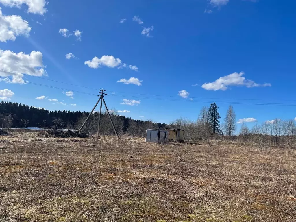 Участок в Ленинградская область, Волосовский район, Бегуницкое с/пос, ... - Фото 1