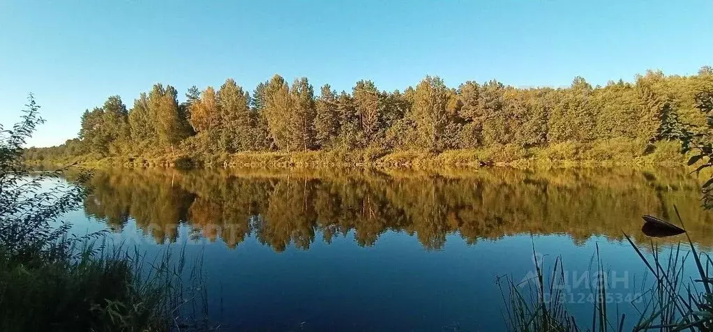 Дом в Новгородская область, Окуловский район, Котовское с/пос, д. ... - Фото 0