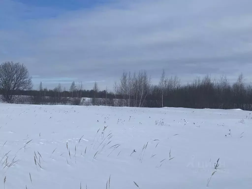 Участок в Московская область, Луховицы муниципальный округ, д. ... - Фото 2