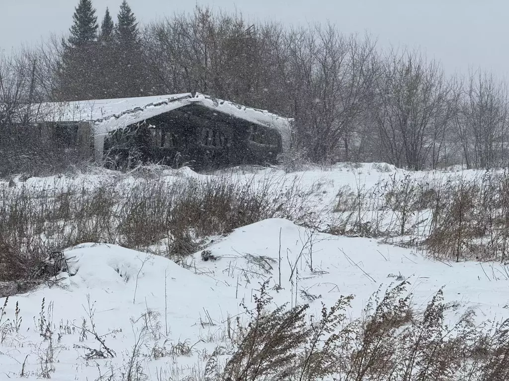 Участок в Алтайский край, Барнаул городской округ, пос. Черницк  (57.0 ... - Фото 0
