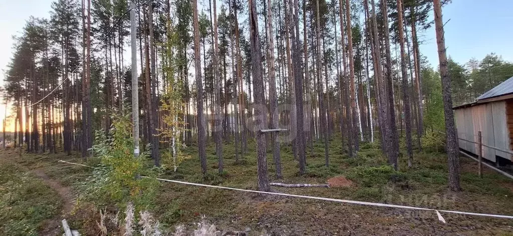 Участок в Коми, Сыктывкар городской округ, Краснозатонский пгт ул. ... - Фото 1