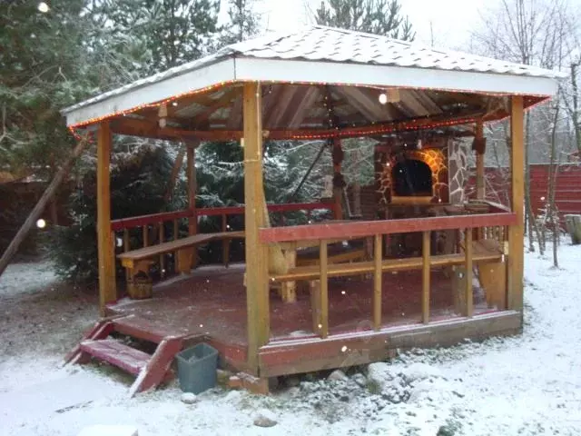 Дом в Ленинградская область, Выборгский район, Красносельское с/пос, ... - Фото 2