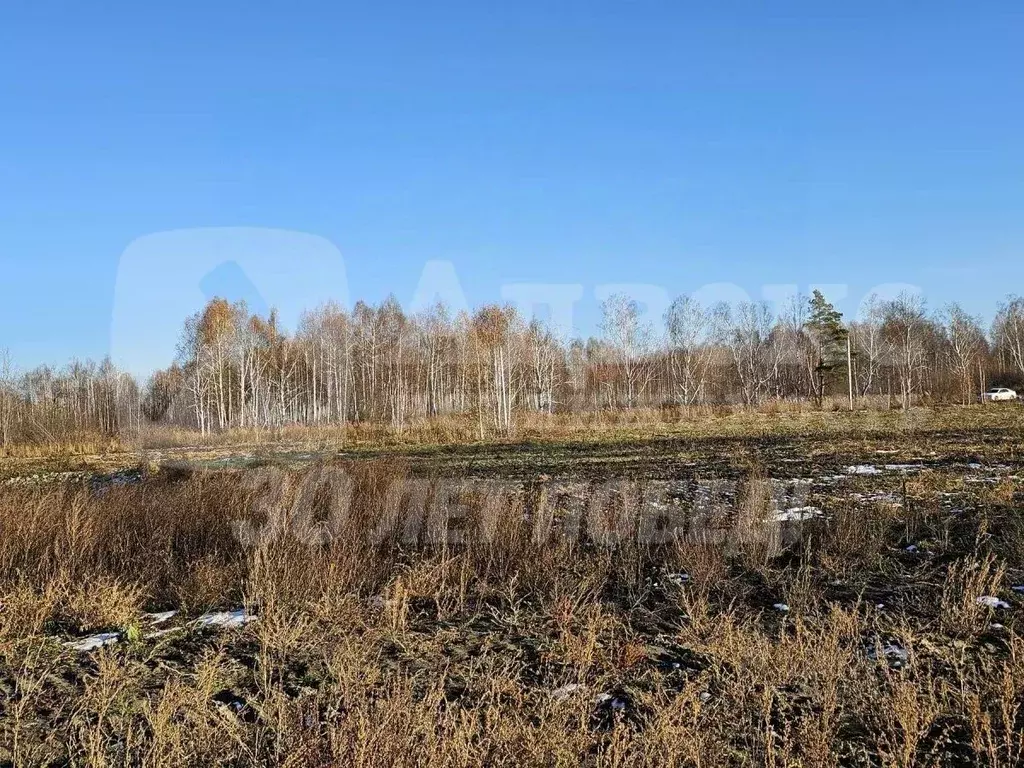 Участок в Тюменская область, Нижнетавдинский район, Строитель ТСН ул. ... - Фото 2