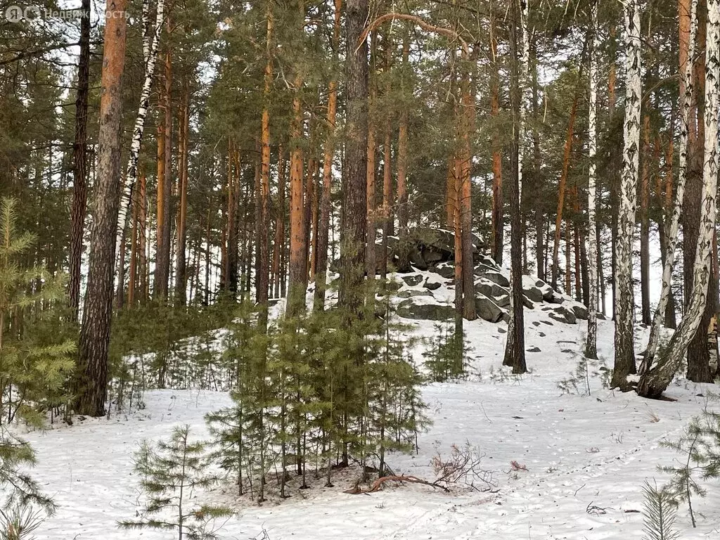 Участок в Свердловская область, муниципальное образование ... - Фото 0