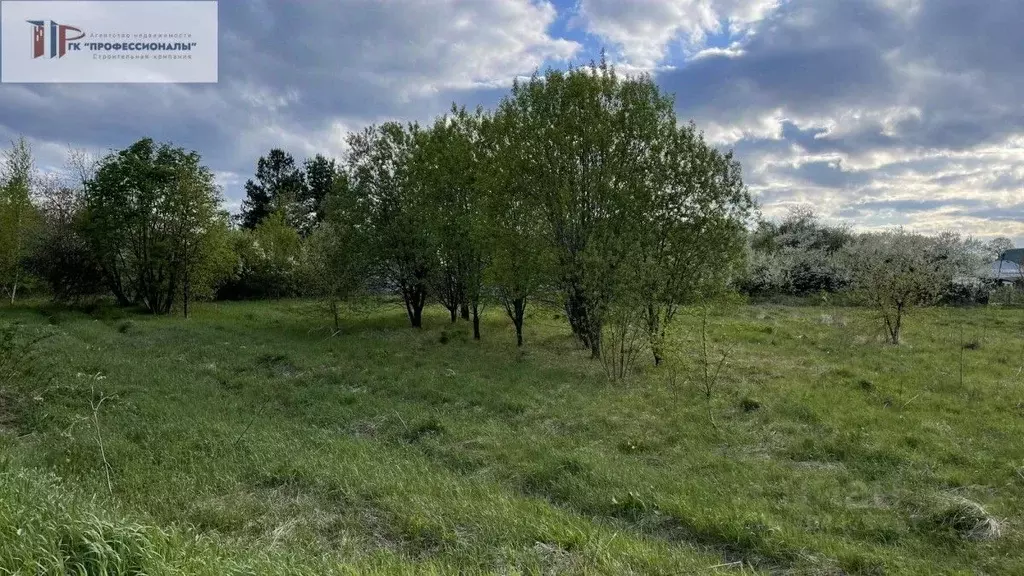 Участок в Нижегородская область, Богородский муниципальный округ, с. ... - Фото 1