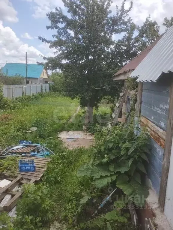 Участок в Оренбургская область, Оренбург Энергетик СНТ, 4-я линия, 59 ... - Фото 2