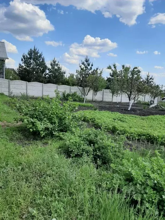 Дом в Белгородская область, Белгородский район, Комсомольское с/пос, ... - Фото 0