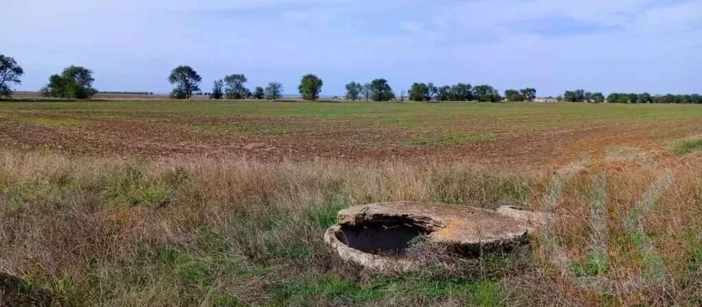 Участок в Крым, Сакский район, с. Добрушино  (131.0 сот.) - Фото 0