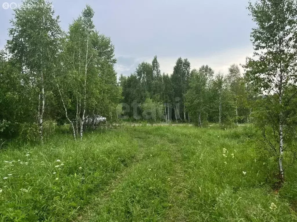 Участок в Майминский район, село Кызыл-Озек (11 м) - Фото 1
