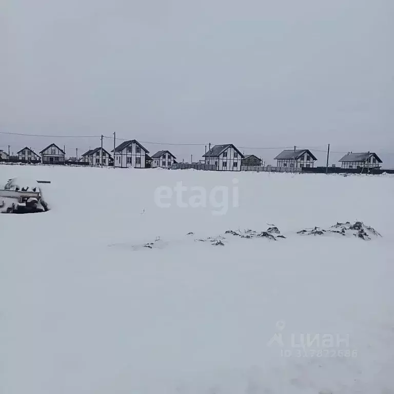 Участок в Ленинградская область, Тосненский район, Тельмановское ... - Фото 1
