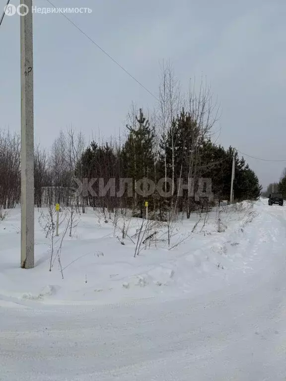 Участок в Искитимский район, Мичуринский сельсовет, дачное ... - Фото 0