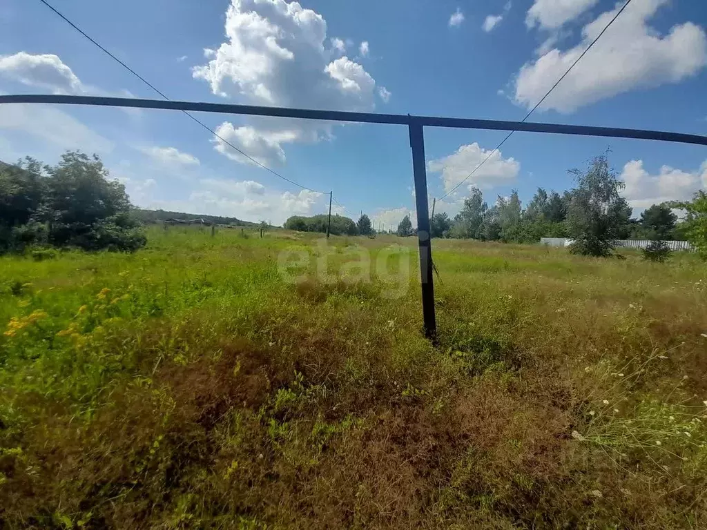 Участок в Саратовская область, Балашовский район, Пинеровское ... - Фото 1