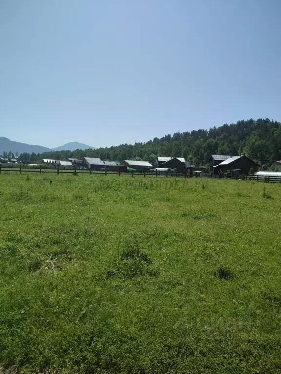Участок в Алтай, Чемальский район, с. Анос Центральная ул., 41 (10.0 ... - Фото 1