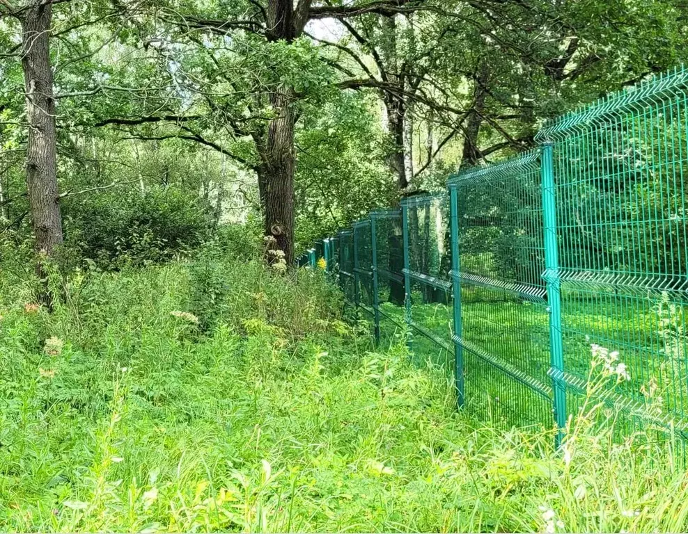 Участок в Тульская область, Заокский район, Демидовское с/пос, ... - Фото 2