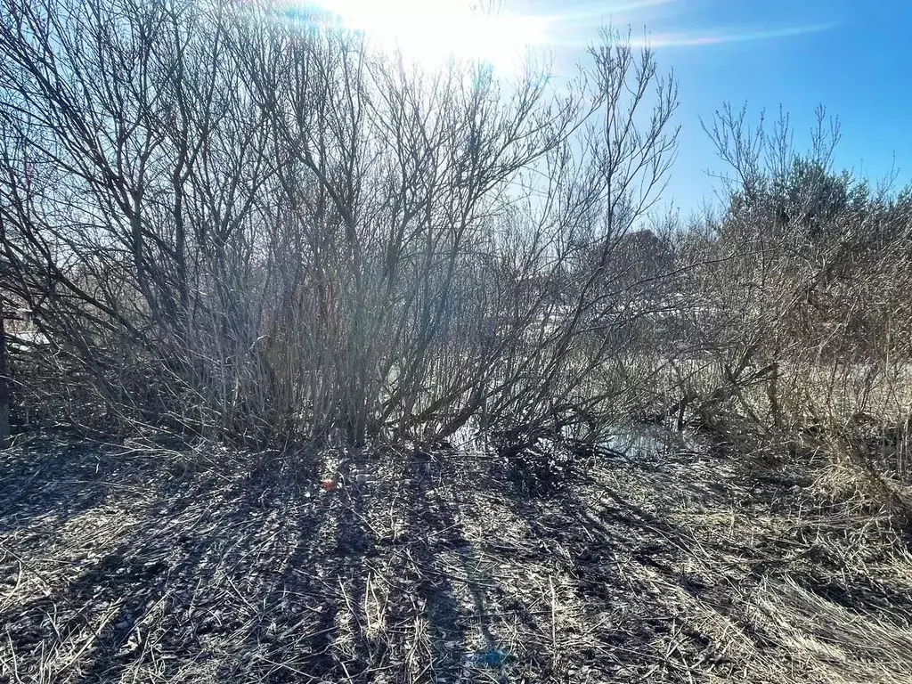 Участок в Московская область, Истра городской округ, д. Рожново  (9.6 ... - Фото 1