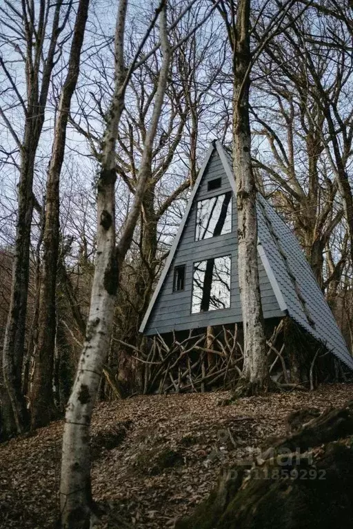 Дом в Краснодарский край, Сочи городской округ, Красная Поляна пгт ул. ... - Фото 0