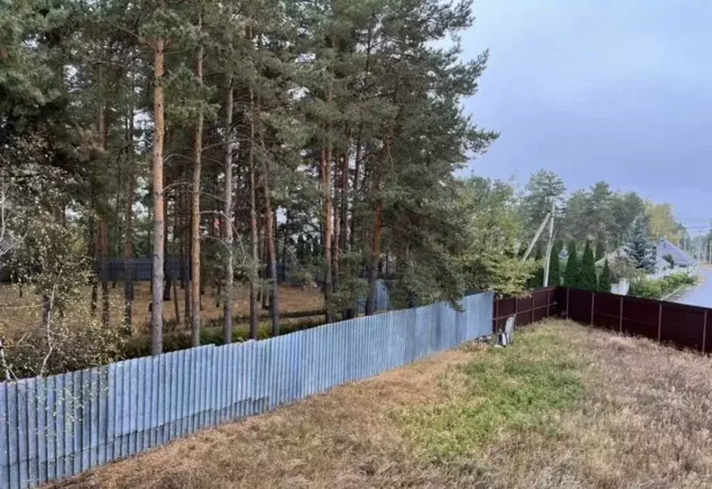 Участок в Воронежская область, Рамонский район, с. Ямное ул. Ленина, ... - Фото 1