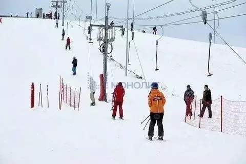 Участок в Нижегородская область, Нижний Новгород с. Шава,  (12.0 сот.) - Фото 1